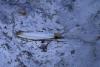 360938 – Photo : Olivier DUVAL – France (53)